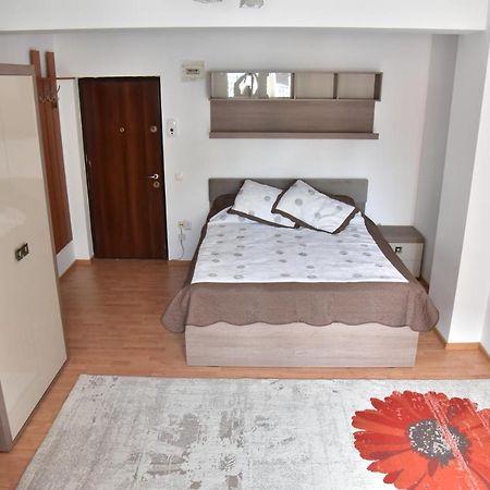 Apartament Frunzei ซีบิว ภายนอก รูปภาพ